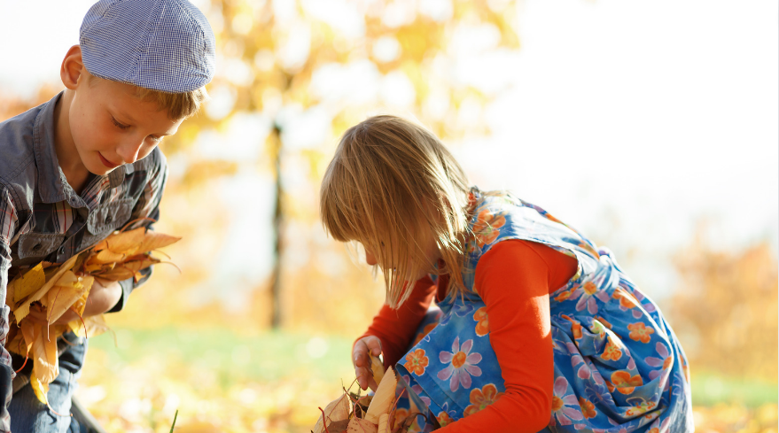 fall activities for preschoolers