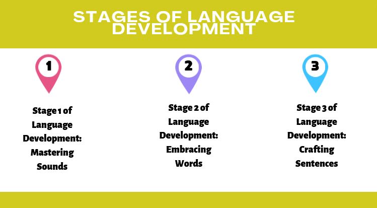 stages of language development